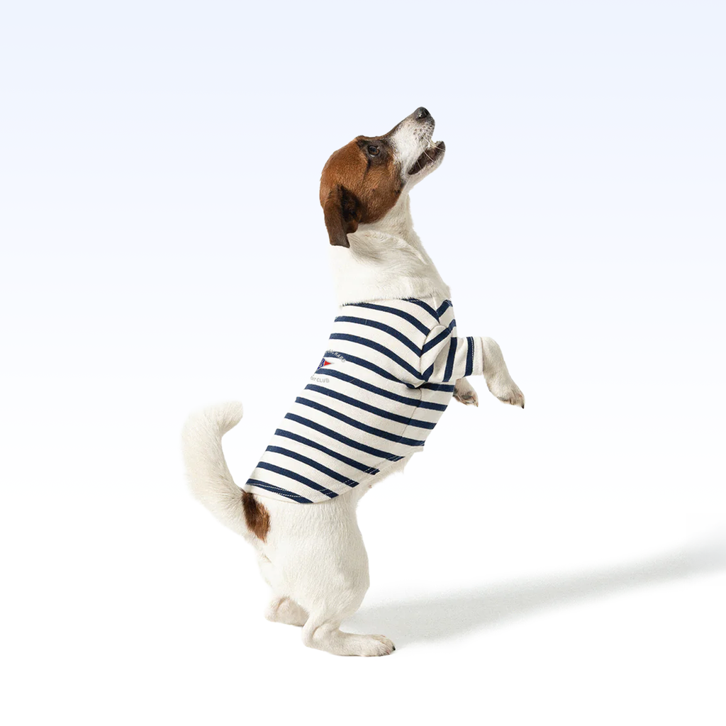 POYC_PARISIAN PUP SHIRT